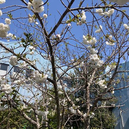 Narita Airport Samurai Hostel Kujukuri Exteriér fotografie